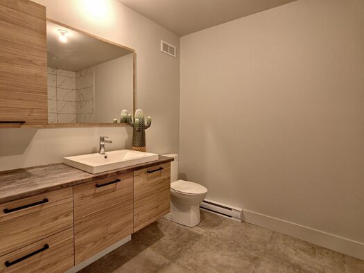 Ceci est une photo de la salle de bain, modèle Nahbi